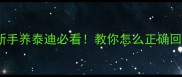 三个月泰迪会叫吗新手养泰迪必看教你怎么正确回应小奶狗的求救信号