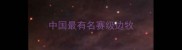 中国最有名赛级边牧