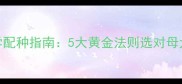 陨石公边牧科学配种指南5大黄金法则选对母犬确保后代健康