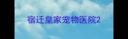 宿迁皇家宠物医院