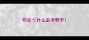 猫咪吃什么最有营养
