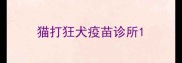 猫打狂犬疫苗诊所