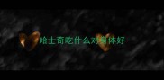 哈士奇吃什么对身体好