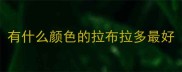 有什么颜色的拉布拉多最好