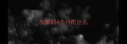灰鹦鹉4个月吃什么