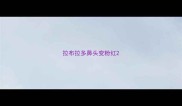 拉布拉多鼻头变粉红