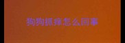 狗狗抓痒怎么回事