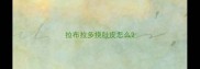 拉布拉多挠肚皮怎么