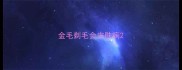 金毛剃毛会皮肤病