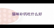 猫咪补钙吃什么好