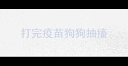 打完疫苗狗狗抽搐