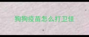 狗狗疫苗怎么打卫佳