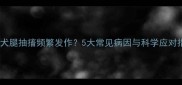 泰迪犬腿抽搐频繁发作5大常见病因与科学应对指南