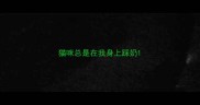 猫咪总是在我身上踩奶