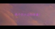 两个月大边牧体重
