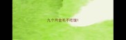 九个月金毛不吃饭