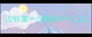 边牧第一次配种不让上