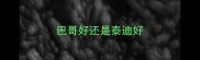 巴哥好还是泰迪好