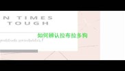 如何辨认拉布拉多狗