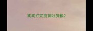 狗狗打完疫苗吐狗粮