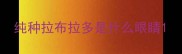 纯种拉布拉多是什么眼睛