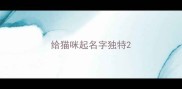 给猫咪起名字独特