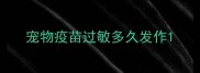 宠物疫苗过敏多久发作