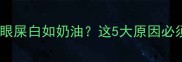 拉布拉多眼屎白如奶油这5大原因必须重视