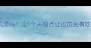 宠物打疫苗前能洗澡吗这5个关键点让疫苗更有效附避坑指南