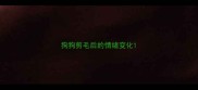 狗狗剪毛后的情绪变化