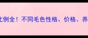 拉布拉多颜色比例全不同毛色性格价格养护指南一次说清