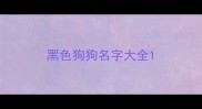 黑色狗狗名字大全