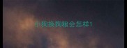 小狗换狗粮会怎样