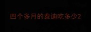 四个多月的泰迪吃多少