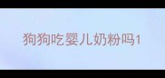 狗狗吃婴儿奶粉吗