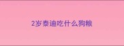 2岁泰迪吃什么狗粮