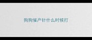 狗狗催产针什么时候打