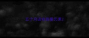 五个月边牧微量元素