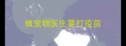 做宠物医生要打疫苗