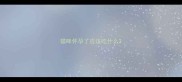 猫咪怀孕了应该吃什么