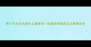 两个月大幼犬能吃土霉素吗权威用药指南及注意事项全