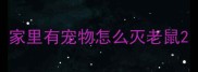 家里有宠物怎么灭老鼠