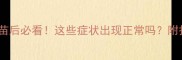狗狗打疫苗后必看这些症状出现正常吗附护理指南