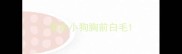 黑色小狗胸前白毛