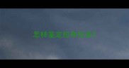 怎样鉴定拉布拉多