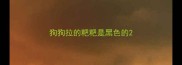 狗狗拉的粑粑是黑色的
