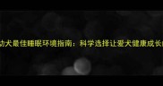 拉布拉多幼犬最佳睡眠环境指南科学选择让爱犬健康成长的6大要点