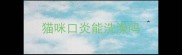 猫咪口炎能洗澡吗