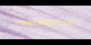 小泰迪拉稀呕吐怎么办