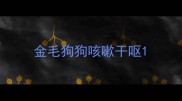 金毛狗狗咳嗽干呕